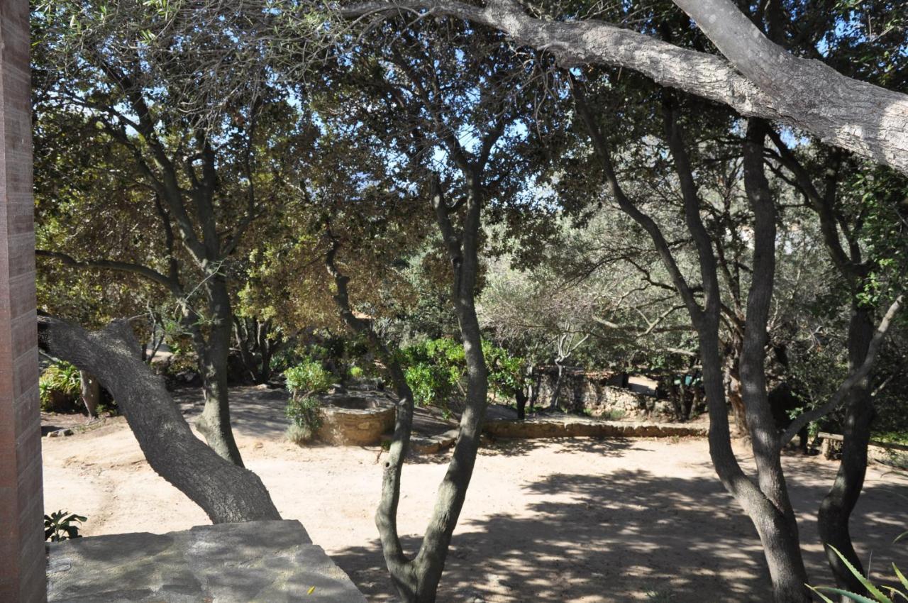 2Ba Domaine Malacucina Lumio Bagian luar foto