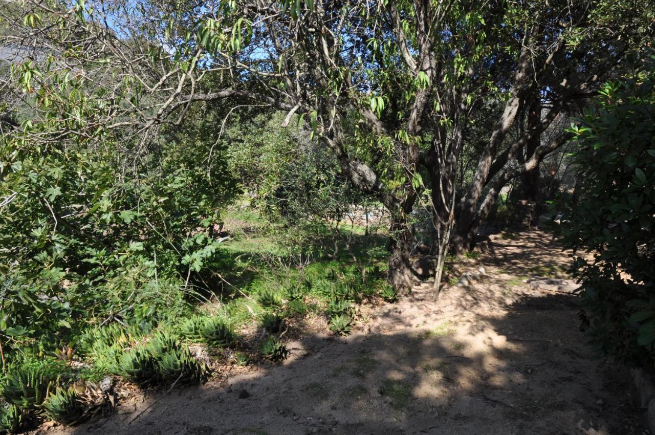 2Ba Domaine Malacucina Lumio Bagian luar foto