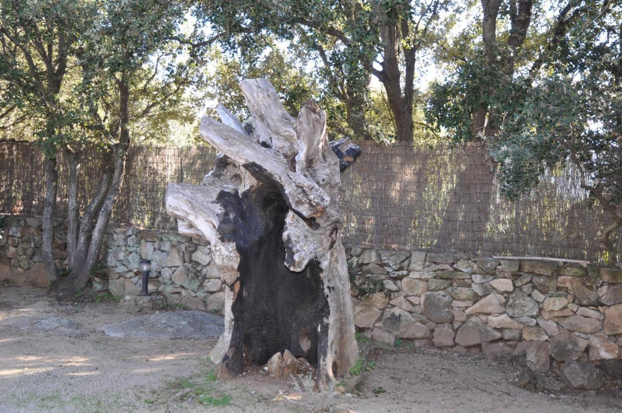 2Ba Domaine Malacucina Lumio Bagian luar foto