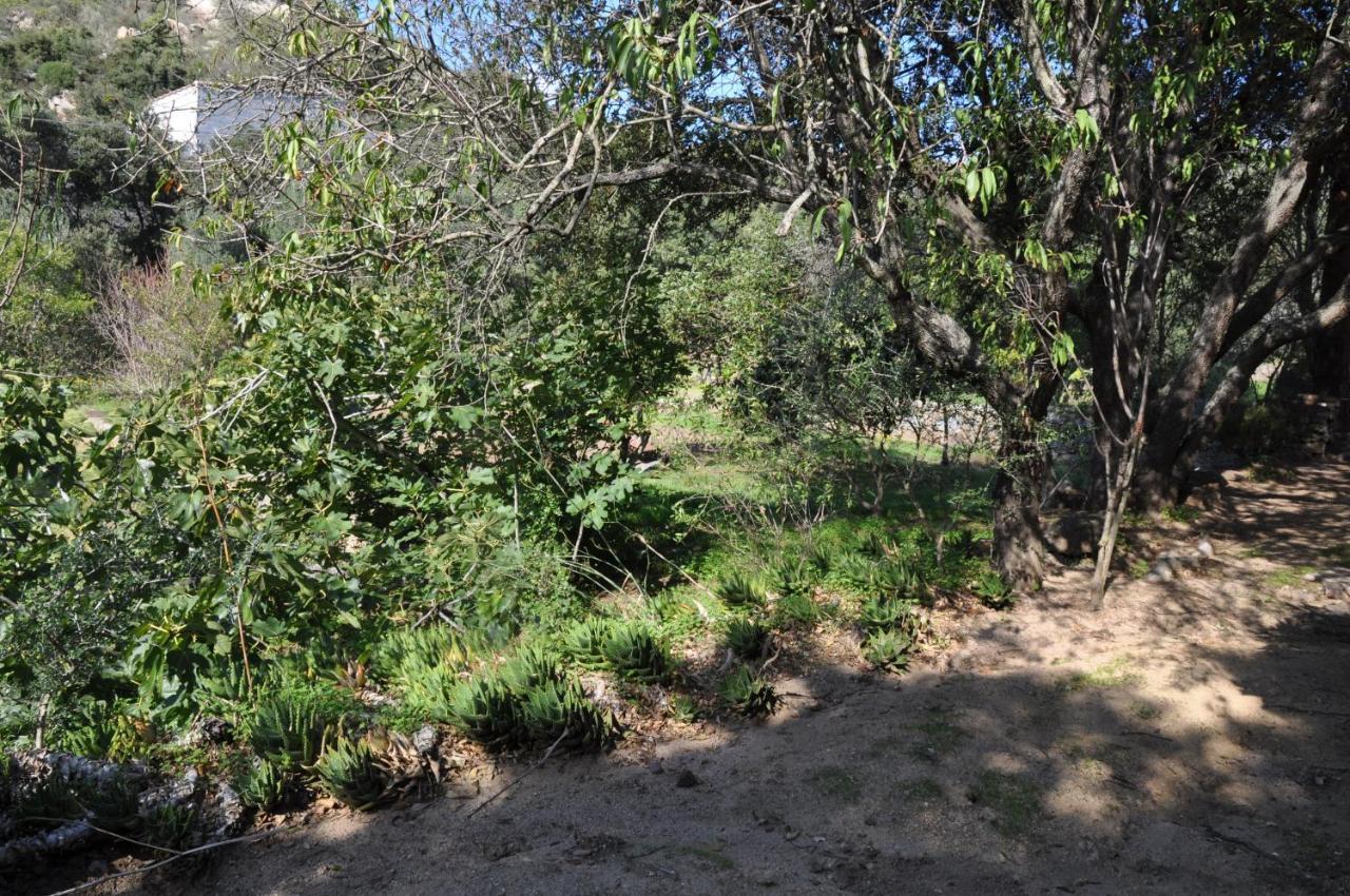 2Ba Domaine Malacucina Lumio Bagian luar foto