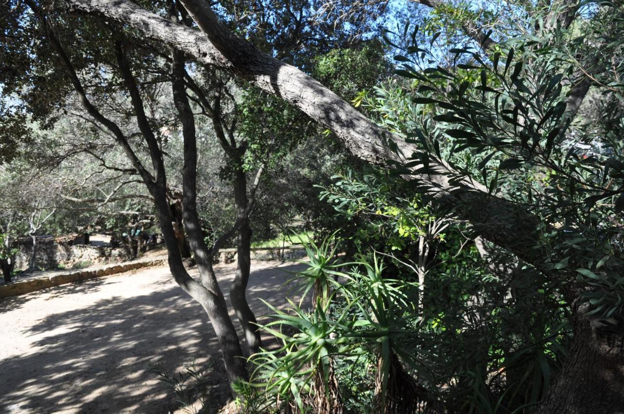 2Ba Domaine Malacucina Lumio Bagian luar foto
