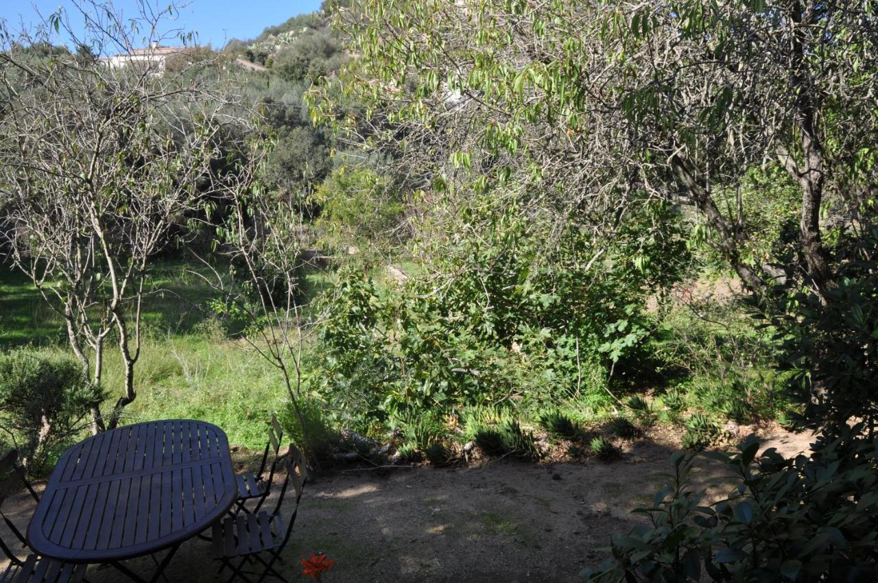 2Ba Domaine Malacucina Lumio Bagian luar foto